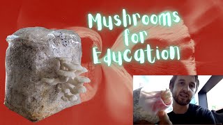 Food from Wood Edible and Educational Mushrooms [upl. by Anitnamaid]