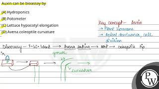 Auxin can be bioassay by [upl. by Ibbor]