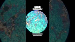 Augite pyroxene mineral thin section microscope shorts mineralogy [upl. by Norek]