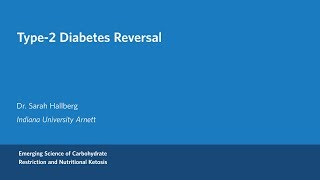 Dr Sarah Hallberg  Type 2 Diabetes Reversal [upl. by Stamata]