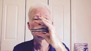 5 cool riffs for beginning blues harmonica players [upl. by Joby]