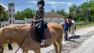 Horse Riding at Colmar Tropicale at Bukit Tinggi P2 [upl. by Lorie]