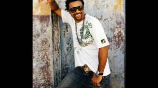 shaggy ft ravon  big up [upl. by Ahsieym]