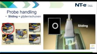 Webinar  Basismodule echografie  Probe handling amp skills [upl. by Madlin]