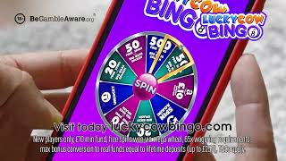 Lucky Cow Bingo  Smart Avenue Media TVC Free Spins Version [upl. by Thant]