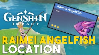 Genshin Impact Raimei Angelfish Location Rare Fish Where To Catch Raimei Angelfish [upl. by Nosittam497]