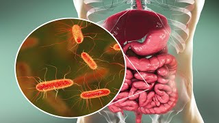 Microorganisms and Humans Commensal and Pathogenic Flora [upl. by Millar]