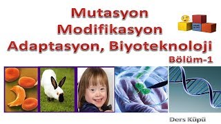 MUTASYON MODİFİKASYON ADAPTASYON 8Sınıf Fen Bilgisi LGS 2020 [upl. by Bibbye]