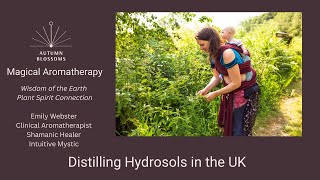 Distilling Hydrosols in the UK [upl. by Ojyram]