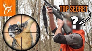 Squirrel SNIPER Hunt with AIR RIFLES  We have a SECRET Weapon  Buck Commander [upl. by Asiat]