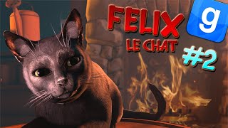 FELIX LE CHAT 2  GARRYS MOD DARKRP [upl. by Docilu]