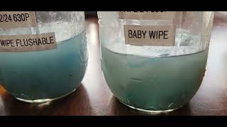 The Truth about FLUSHABLE WIPES  yes they do exist 😀 diy science [upl. by Hugues]