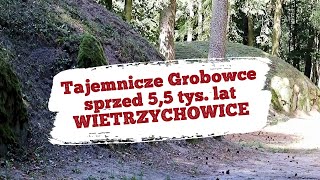 Kujawskie grobowce z przed 55 tysięcy lat  Wietrzychowice [upl. by Aikim]