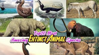 top10 Most Amazing Extinct Animal Species [upl. by Harri838]