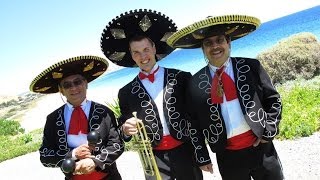 The Mexican Mariachi Band with Trumpet [upl. by Gillead]