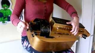 Eluveitie  Luxtos hurdy gurdy cover [upl. by Anerbas499]