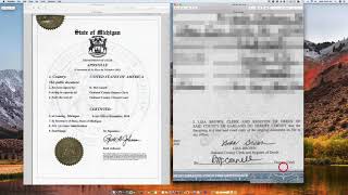 How to Apostille a Michigan Marriage Certificate [upl. by Fletch416]