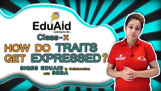 How Do Traits Get Expressed  Heredity and Evolution  Lecture 5  Class 10 Science  EduAid [upl. by Marleen]