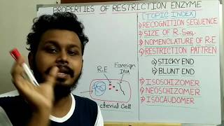 Properties of Restriction Enzyme  Palindromic sequence [upl. by Haseena]