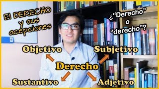 Derecho Objetivo Subjetivo Sustantivo y Adjetivo  Introducción al Derecho 20 [upl. by Hnah]