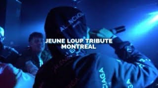 BLUEFILESRAW 2  JEUNE LOUP TRIBUTE  MIKE SHABB AND FRIENDS [upl. by Alisun819]