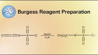 Burgess Reagent Preparation Mechanism  Organic Chemistry [upl. by Nraa]