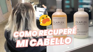 HIDRATA TU CABELLO con este Acondicionador Casero [upl. by Dianna]