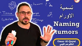 محاضرة في الباثومورفولوجي pathology كيفية تسمية الاورام naming tumors [upl. by Bruns292]