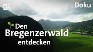 Urlaub und Wandern im unbekannten Bregenzerwald  CheeseTrail  Architektur  Freizeit  Doku  BR [upl. by Nishom]