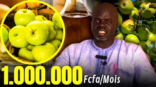 Business Si POMME 🍏 De 0 à de 1000000mois   Pr Ousmane Ndiaye  SAMA XALAA TV [upl. by Allveta]