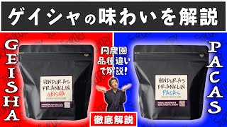 【徹底解説】世界中で大注目されている”ゲイシャコーヒー”とは？人々を魅了するその味わいを実際に飲み比べながら解説します [upl. by Klehm]