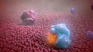 Nonsteroidal Antiinflammatory Drug Animation [upl. by Bili395]