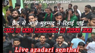 Qaid se aale Mohammad ne rihaai paai  Chellum Shodaae Karbala [upl. by Ayotaj]