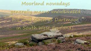 Heathland and Moorland biomes Movie [upl. by Tamarah]