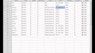 SPSS  Confidence Interval for a Percentage no audio [upl. by Ragen]