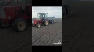 coś z siania automobile agriculture farming case farm farmer traktor [upl. by Ailsun873]