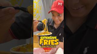 CHEAP FRIES Vs EXPENSIVE FRIES🍟 Which is better😍 comparison challenge 24hourchallange spicy [upl. by Gatian]