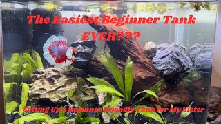 I Set Up a Great Beginner Tank For my Sister Easy Beginner Scape Full HowTo Guide [upl. by Aznola]