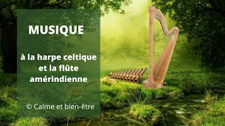 Musique à Harpe celtique et la flûte amérindienne  Celtic Music with Harp and Native American Flute [upl. by Demaria]