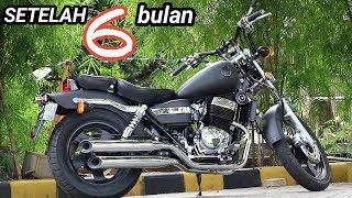 Kelebihan dan kekurangan Benelli patagonian eagle 250 setelah pemakaian beberapa bulan [upl. by Nylkcaj257]