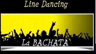 Danse en ligne Bachata  apprendre à danser la Bachata en ligne Philippe Marie Line dance bachata [upl. by Kral]