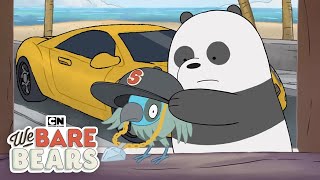 The Bears’ New Bird Friend  We Bare Bears  Cartoon Network [upl. by Vladamar495]