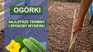 🍀 Sprawdzone sposoby i terminy wysiewu ogórków [upl. by Nylyram]