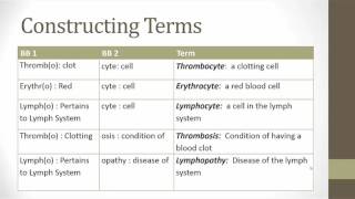 The Hematic and Lymphatic Systems [upl. by Ariajay]