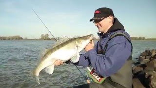 Fliegenfischen auf Zander zander  pike perch on fly  THE MOVIE [upl. by Minsk]