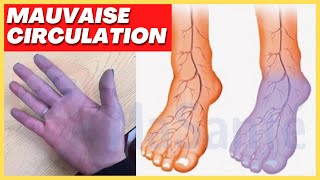 🔴 11 signes de Mauvaise Circulation  Remede Naturel RECETTE [upl. by Jonme]