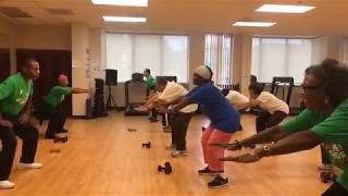 Strength Training Workout for Older Adults [upl. by Javler]