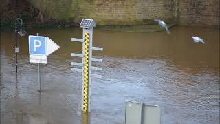 Hochwasser 2023 Porta Westfalica und Minden Seelenflug [upl. by Bradshaw519]