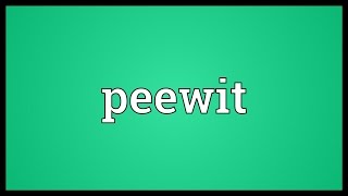 Peewit Meaning [upl. by Marilee134]