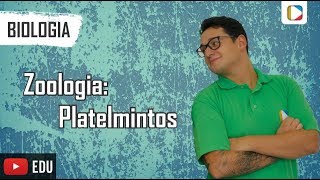 Biologia  Zoologia Platelmintos [upl. by Guillemette234]